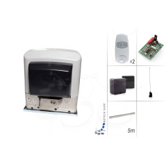 Schiebetorantrieb CAME BK 221 (Set M)