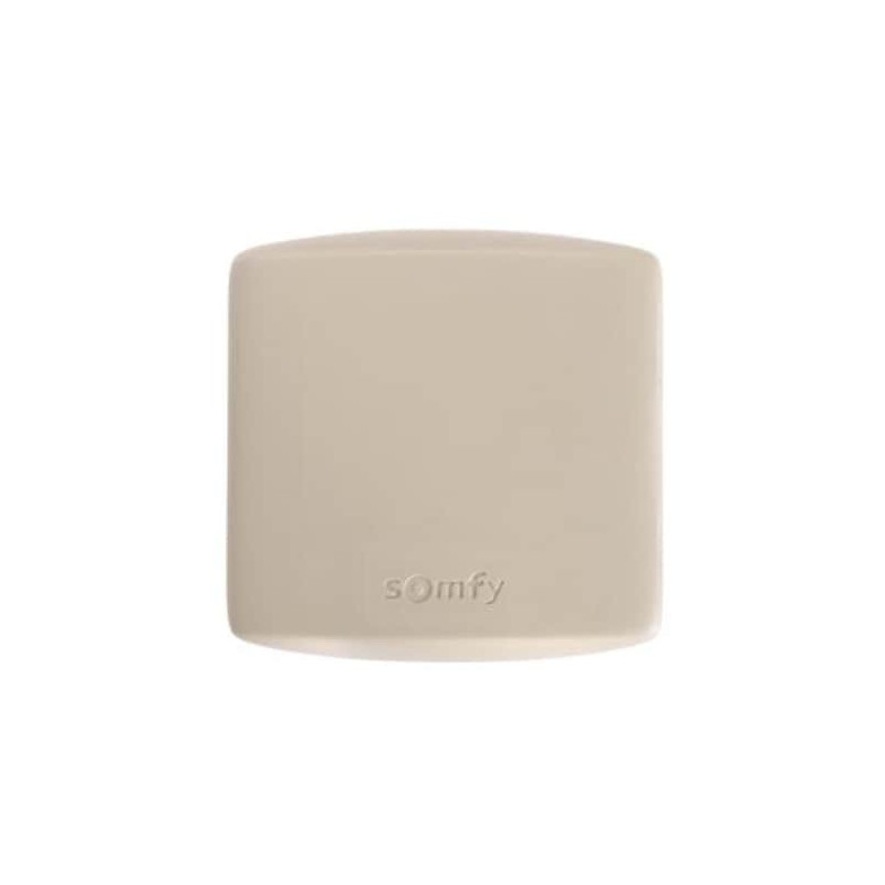 SOMFY Récepteur universel d'impulsions RTS à deux canaux
