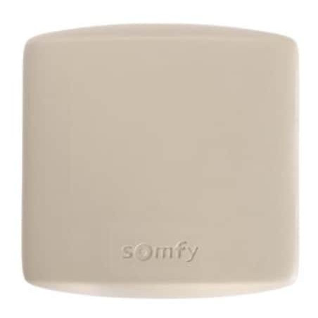 SOMFY Récepteur universel d'impulsions RTS à deux canaux