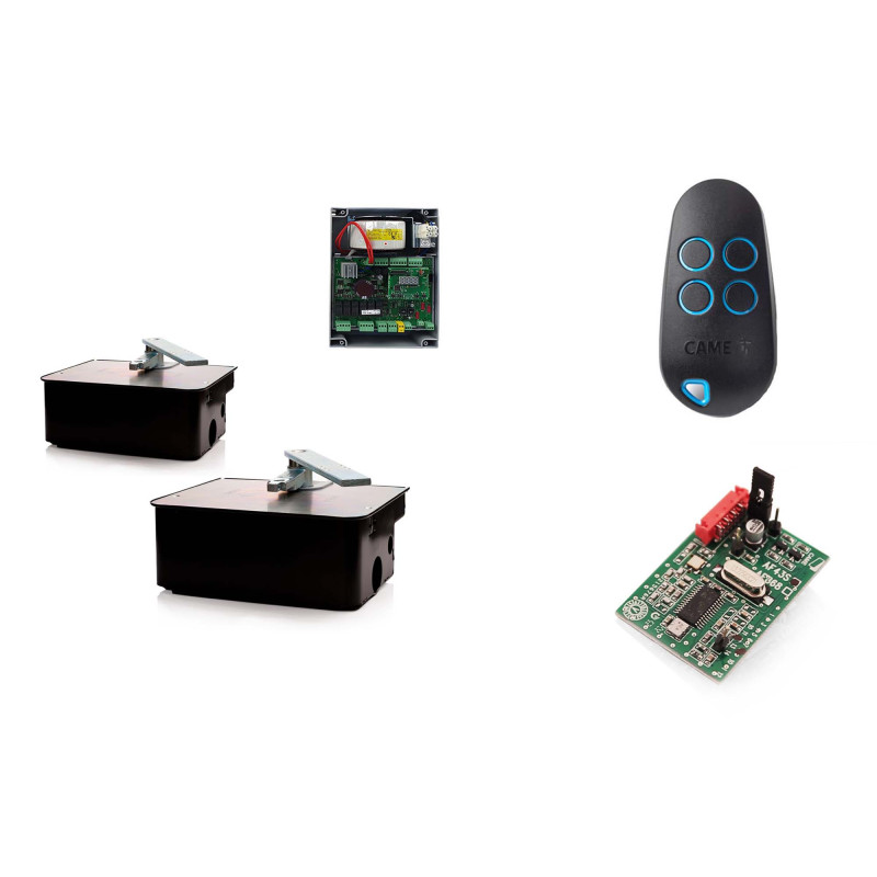 CAME FROG A24E/2 Moteur enterré 24V pour les portails battants - Kit S