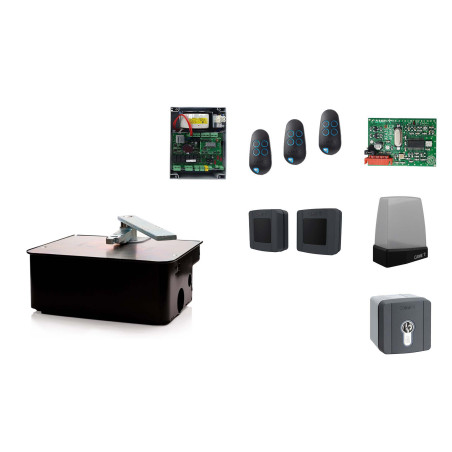 CAME FROG A24/1 Moteur enterré 24V pour les portails battants - Kit XL