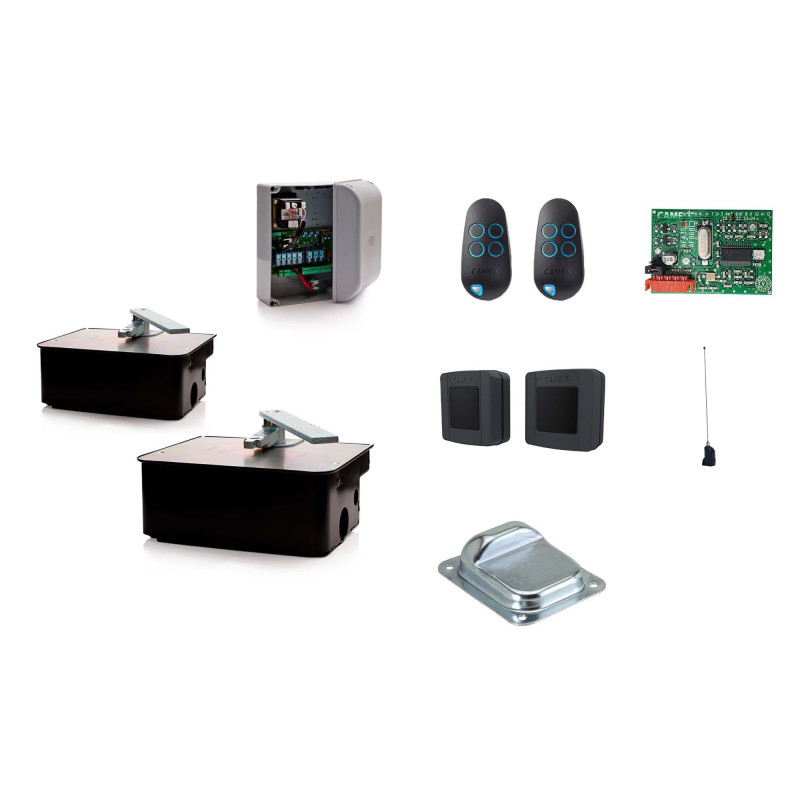 CAME FROG AV/2 Moteur enterré 230V pour les portails battants - Kit M