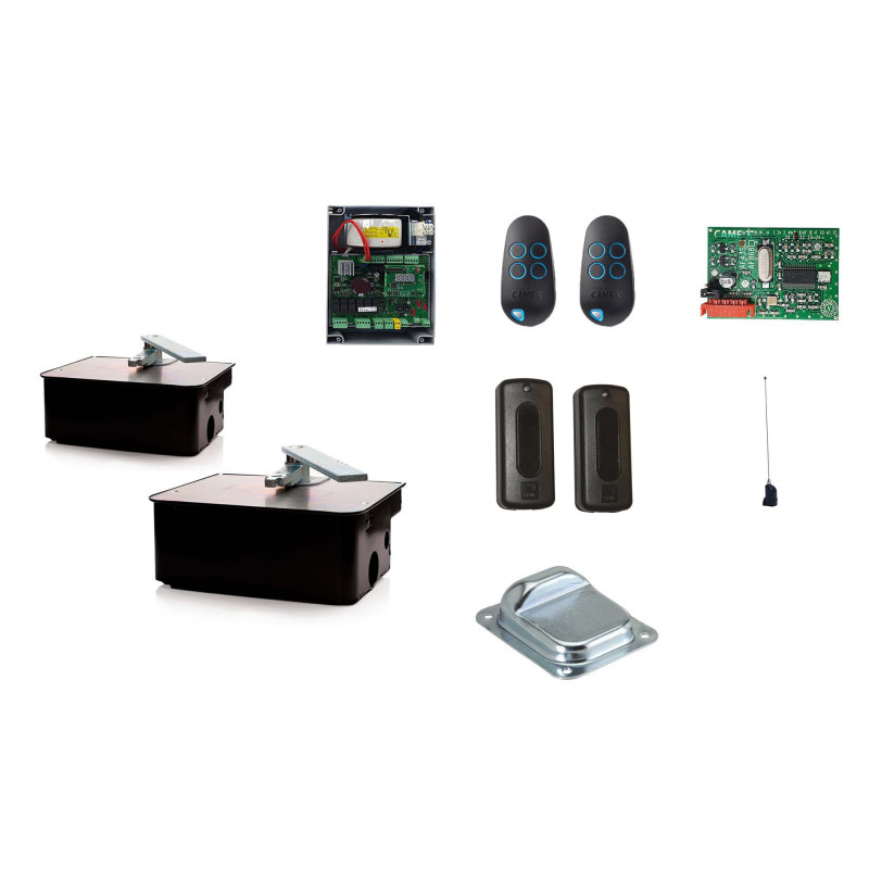 CAME FROG A24E/2 Moteur enterré 24V pour les portails battants - Kit M