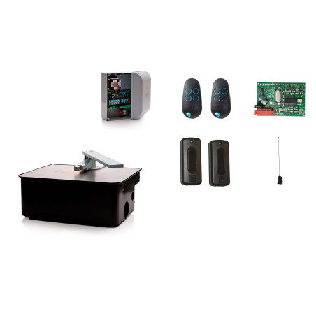 CAME FROG AE Moteur enterré 230V pour les portails battants kit avec caisson