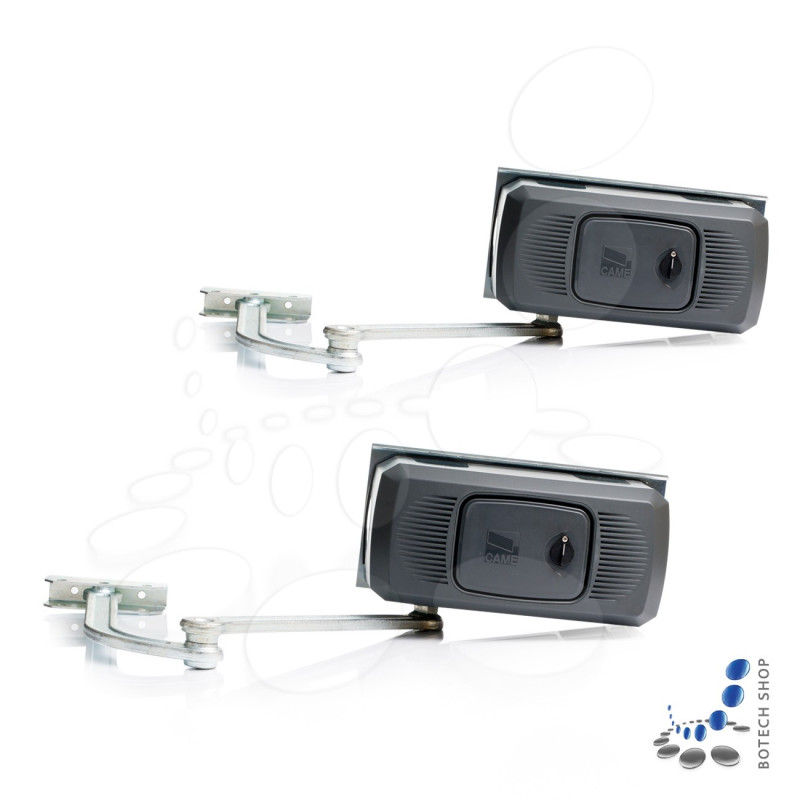 2x CAME FERNI F1024 Moteur 24V pour les portails battants
