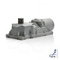 FAAC 770 Moteur enterré 230 V pour les portails battants sans caisson