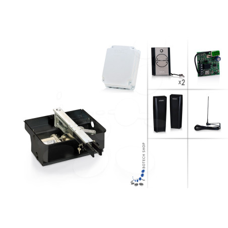 FAAC 770/1 Moteur enterré 230 V pour les portails battants - Kit M