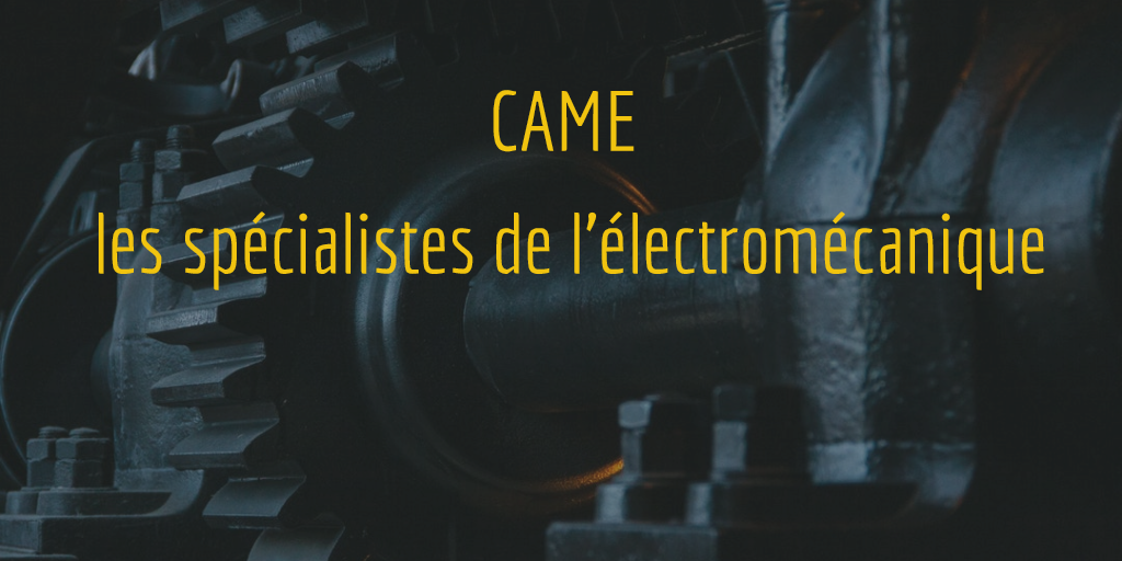 Motorisation portail CAME